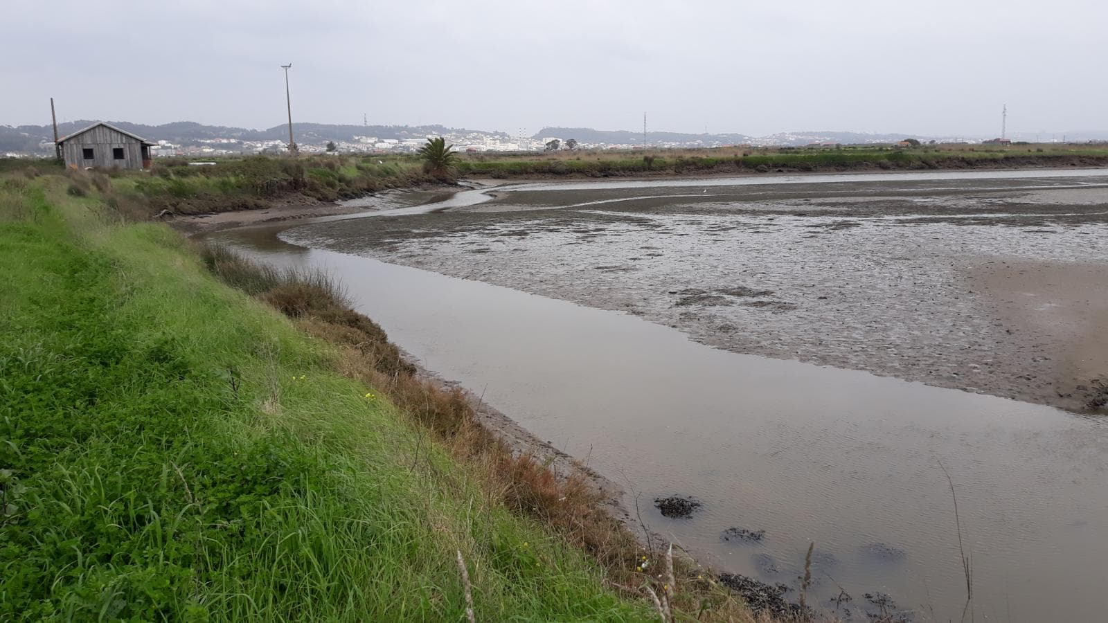 Terreno · 11 hectares  · Figueira da Foz — imagen 1