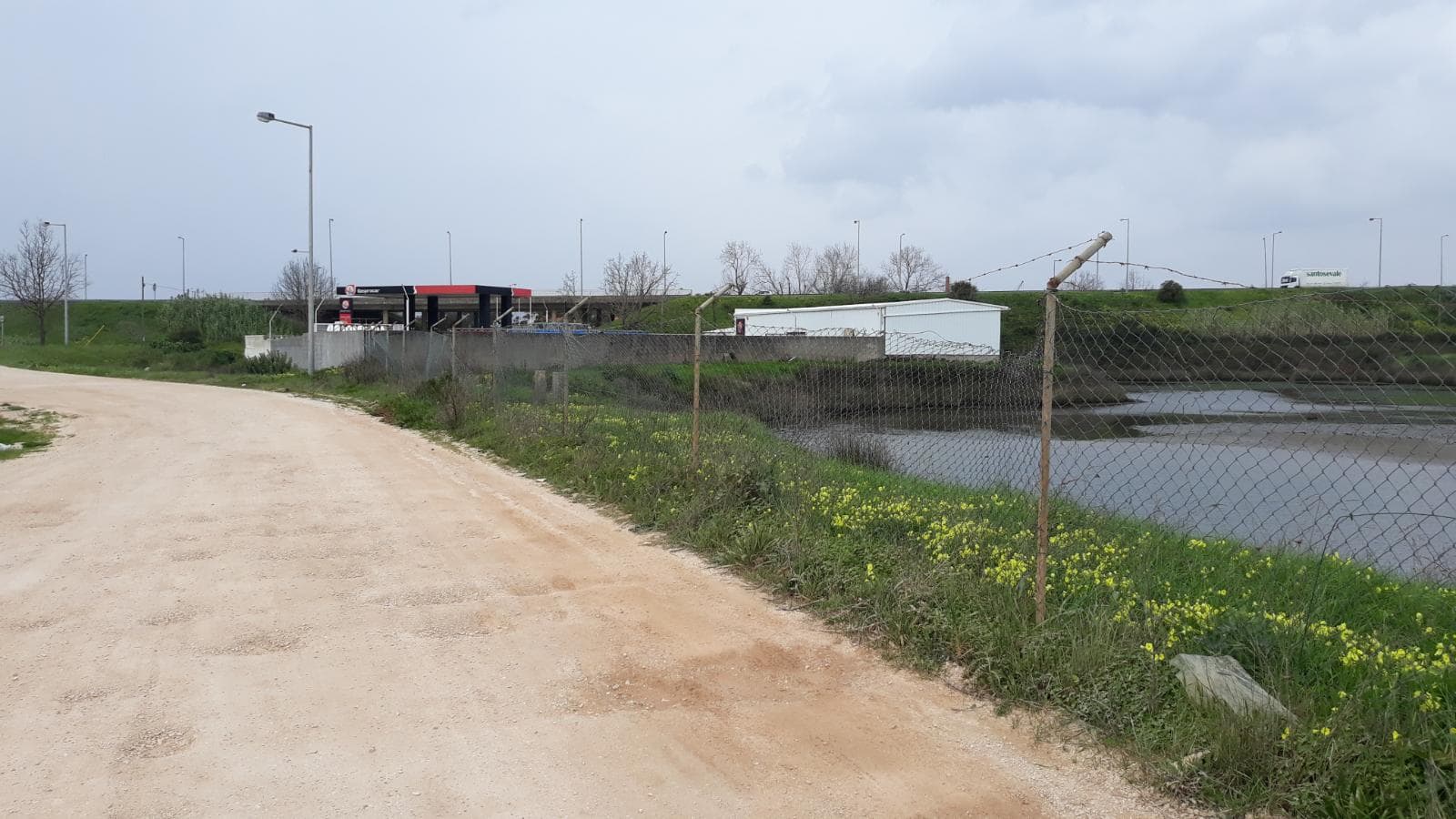 Terreno · 11 hectares  · Figueira da Foz — imagen 5