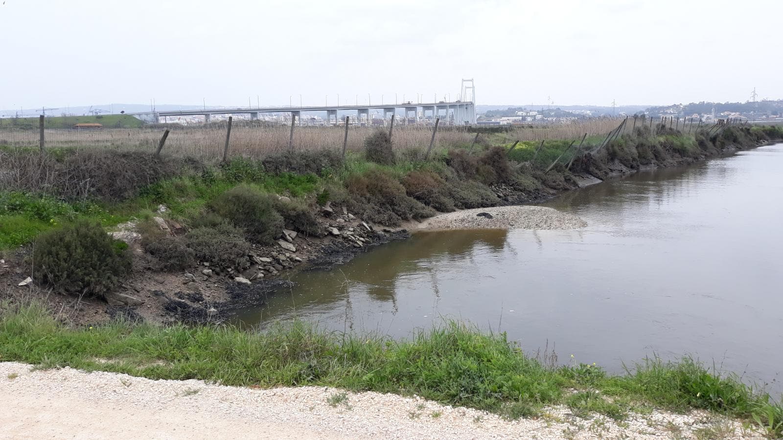 Terreno · 11 hectares  · Figueira da Foz — imagen 6