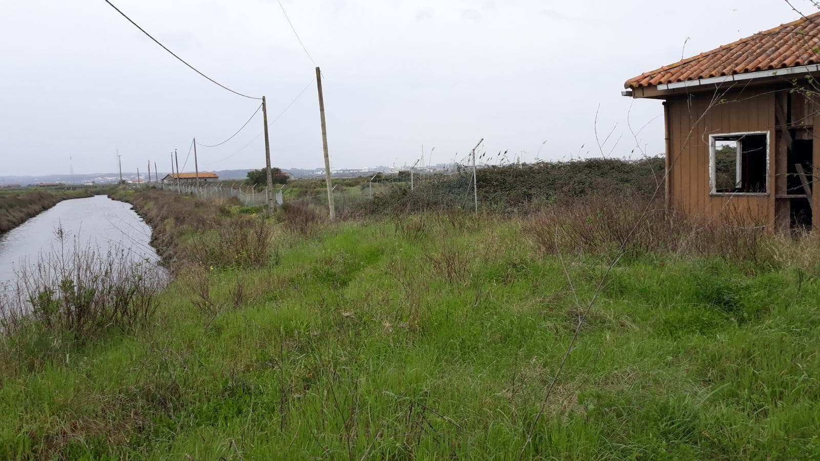 Terreno · 11 hectares  · Figueira da Foz — imagen 9