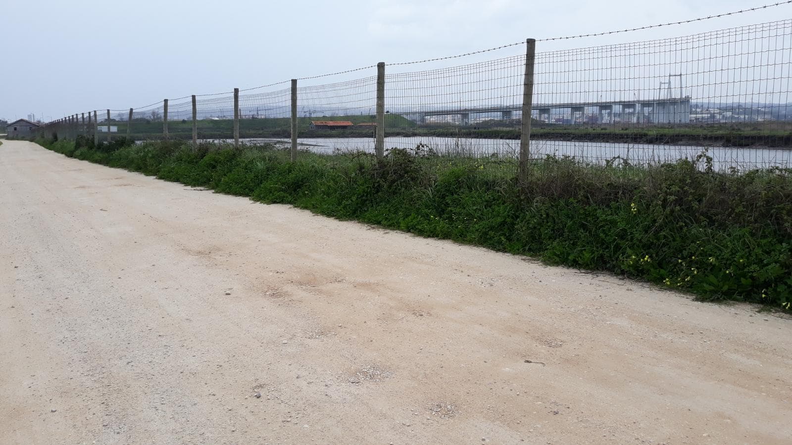 Terreno · 11 hectares  · Figueira da Foz — imagen 10