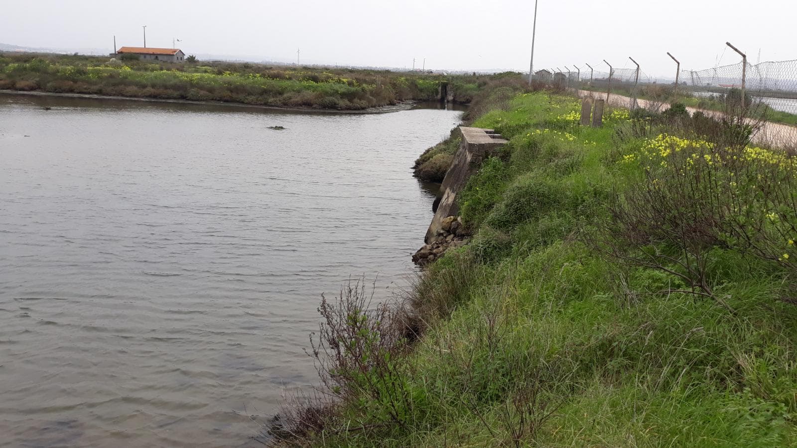 Terreno · 11 hectares  · Figueira da Foz — imagen 8