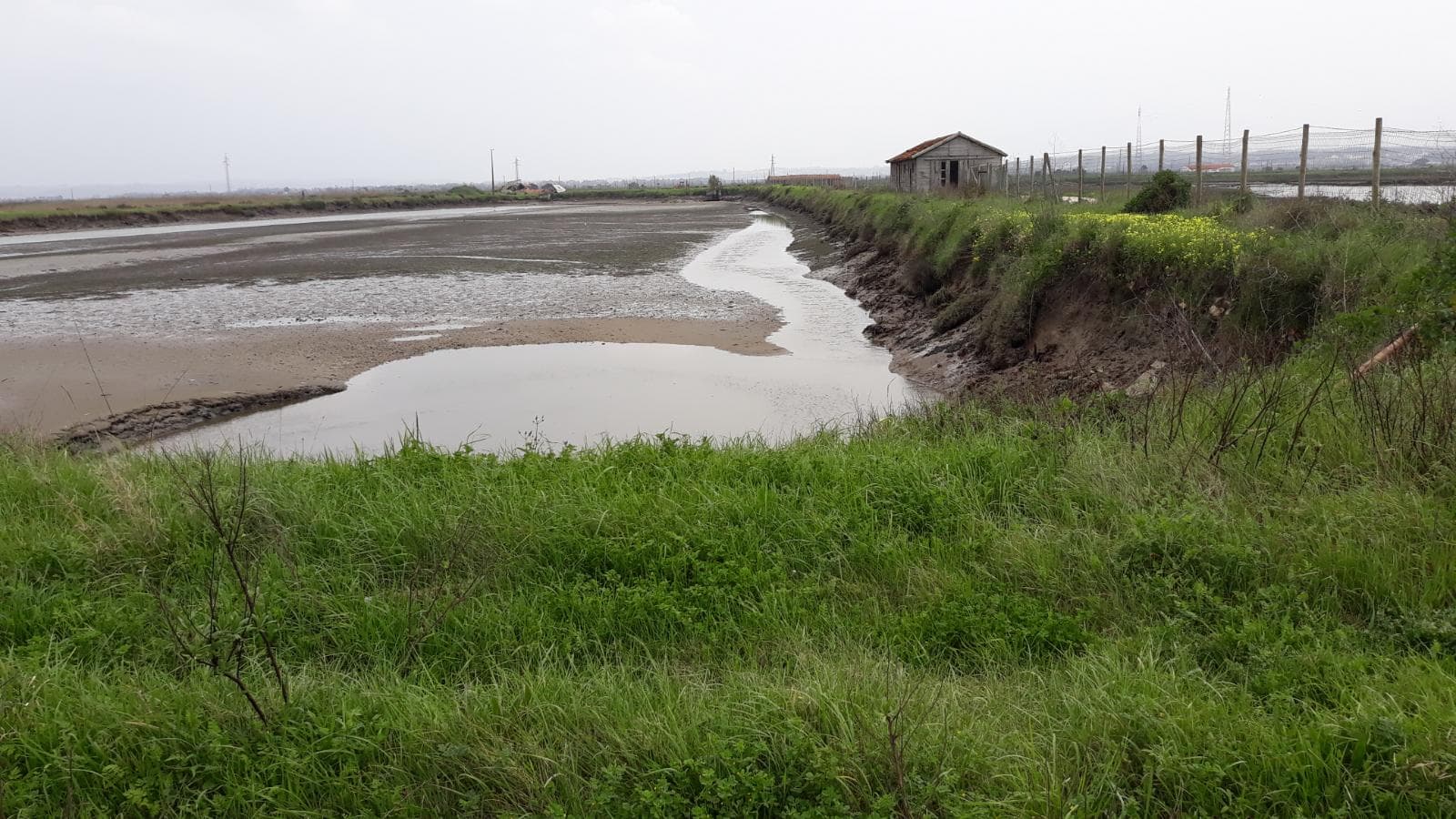 Terreno · 11 hectares  · Figueira da Foz — imagen 12