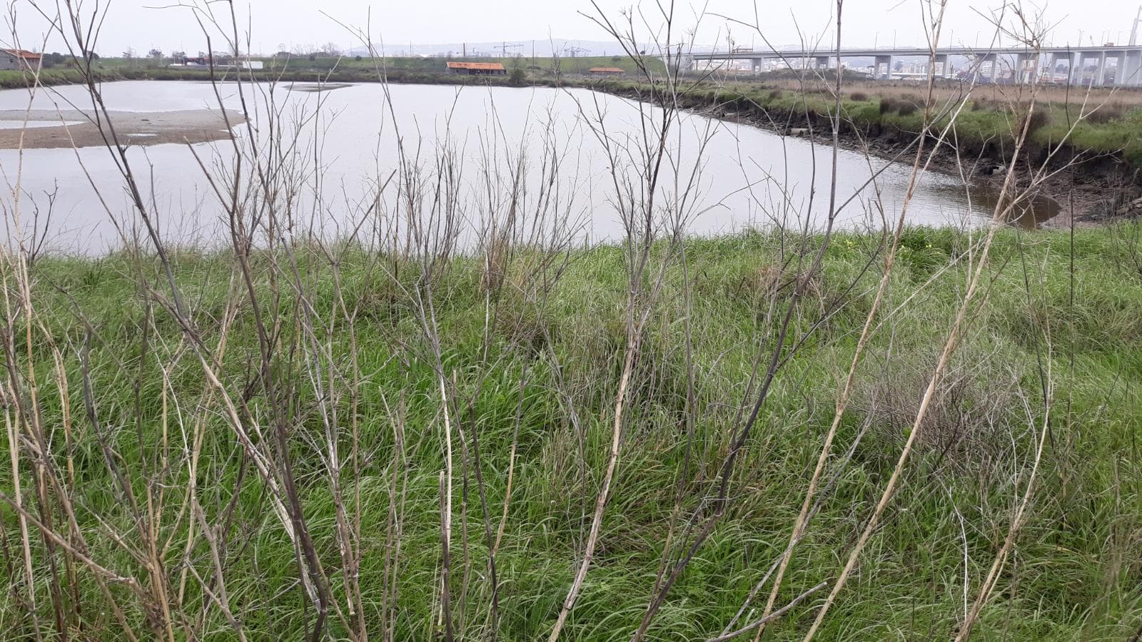 Terreno · 11 hectares  · Figueira da Foz — imagen 11