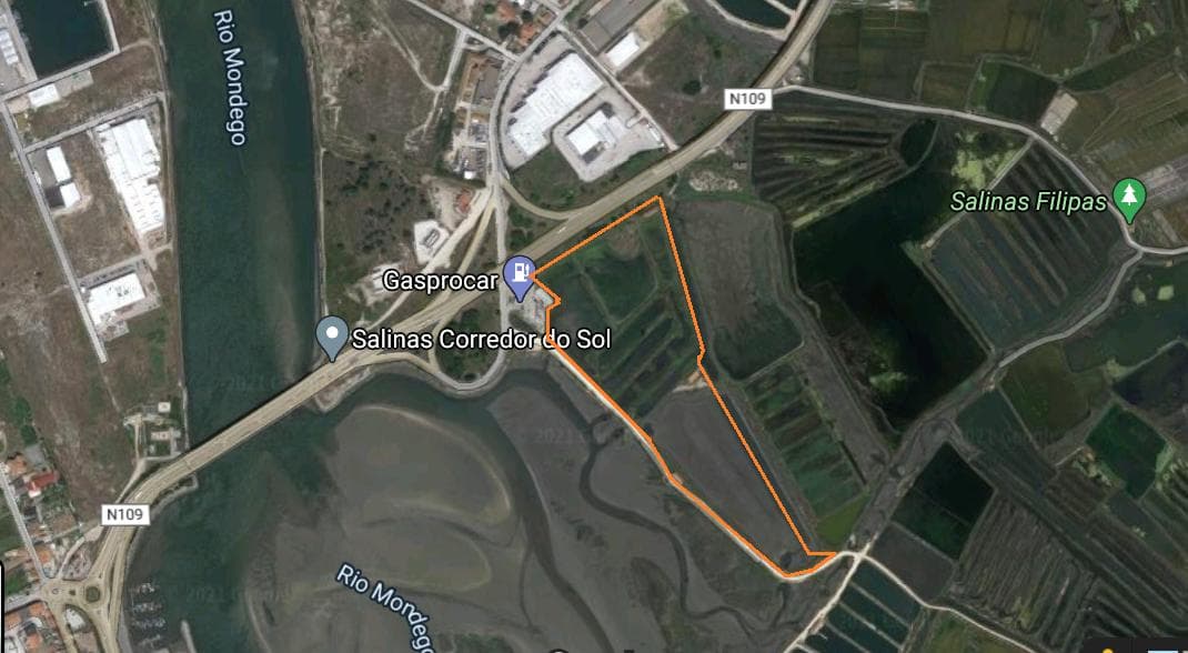 Terreno · 11 hectares  · Figueira da Foz — imagen 13