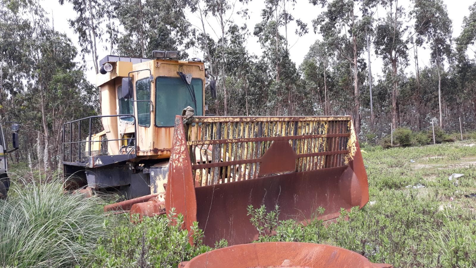 Compactador BOMAG — imagem 7