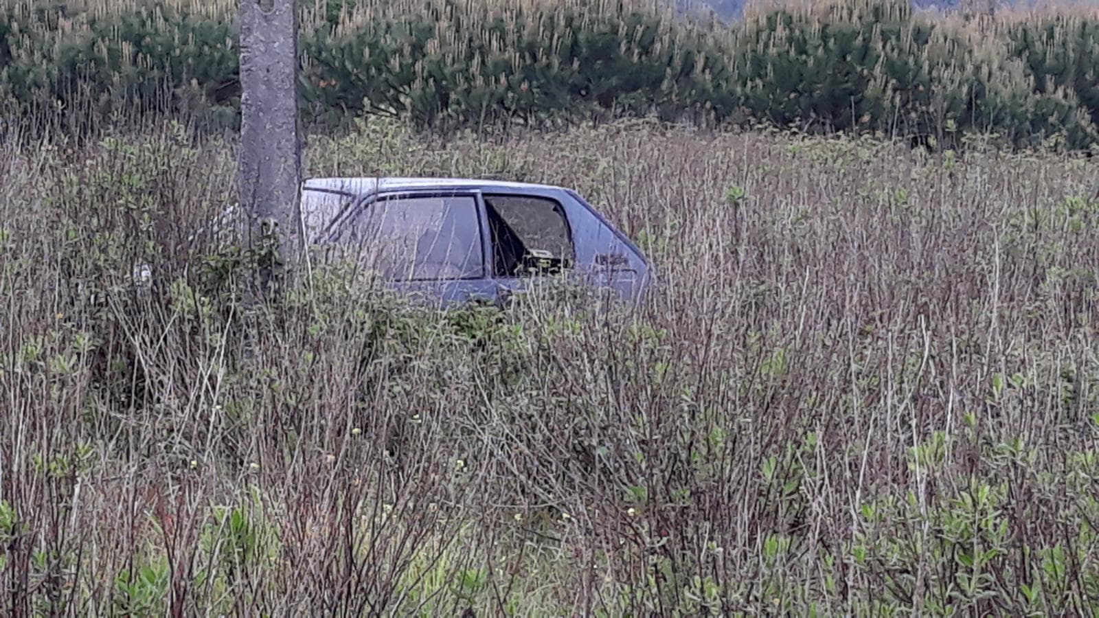 Peugeot 205 — imagem 7