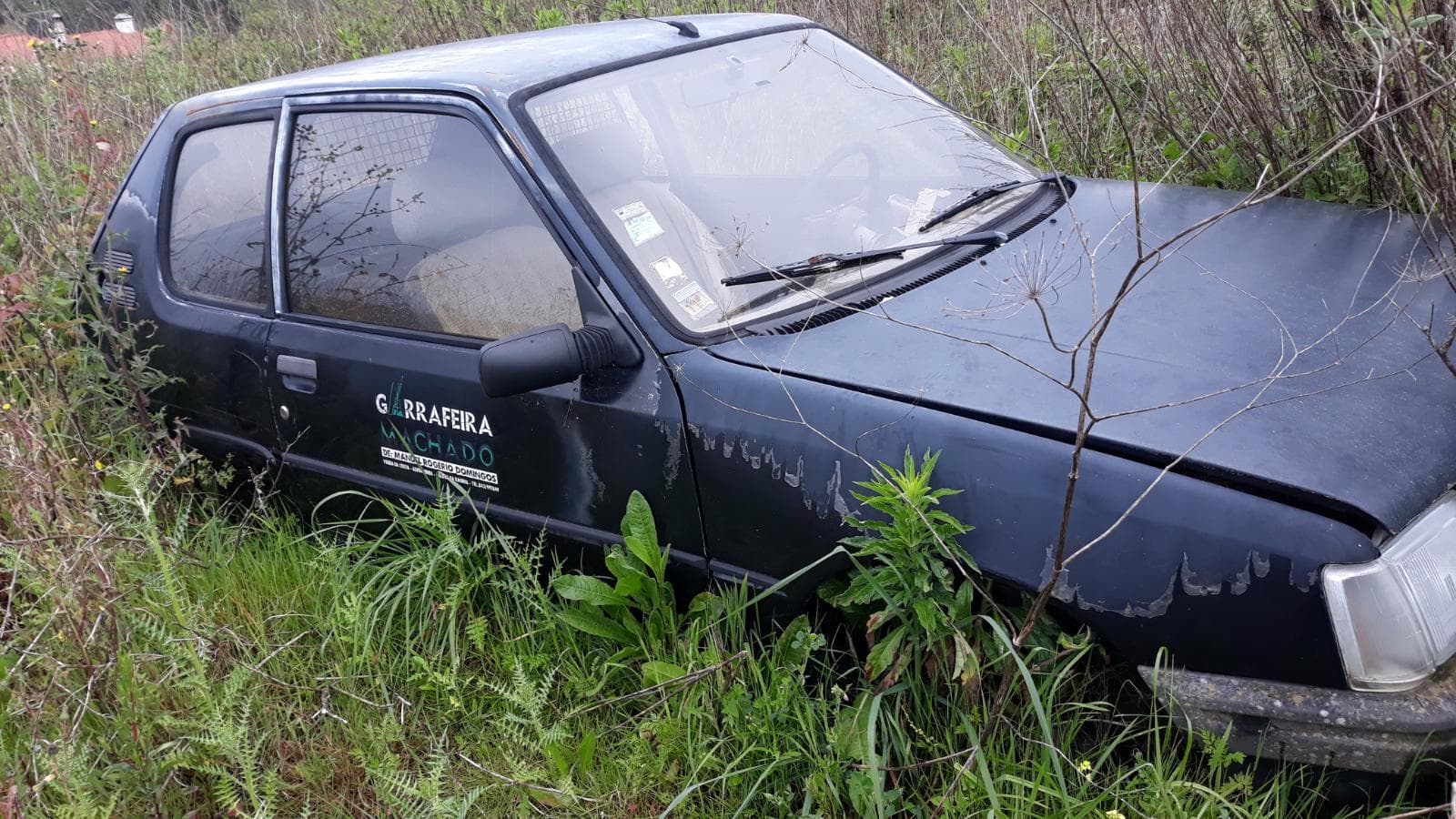 Peugeot 205