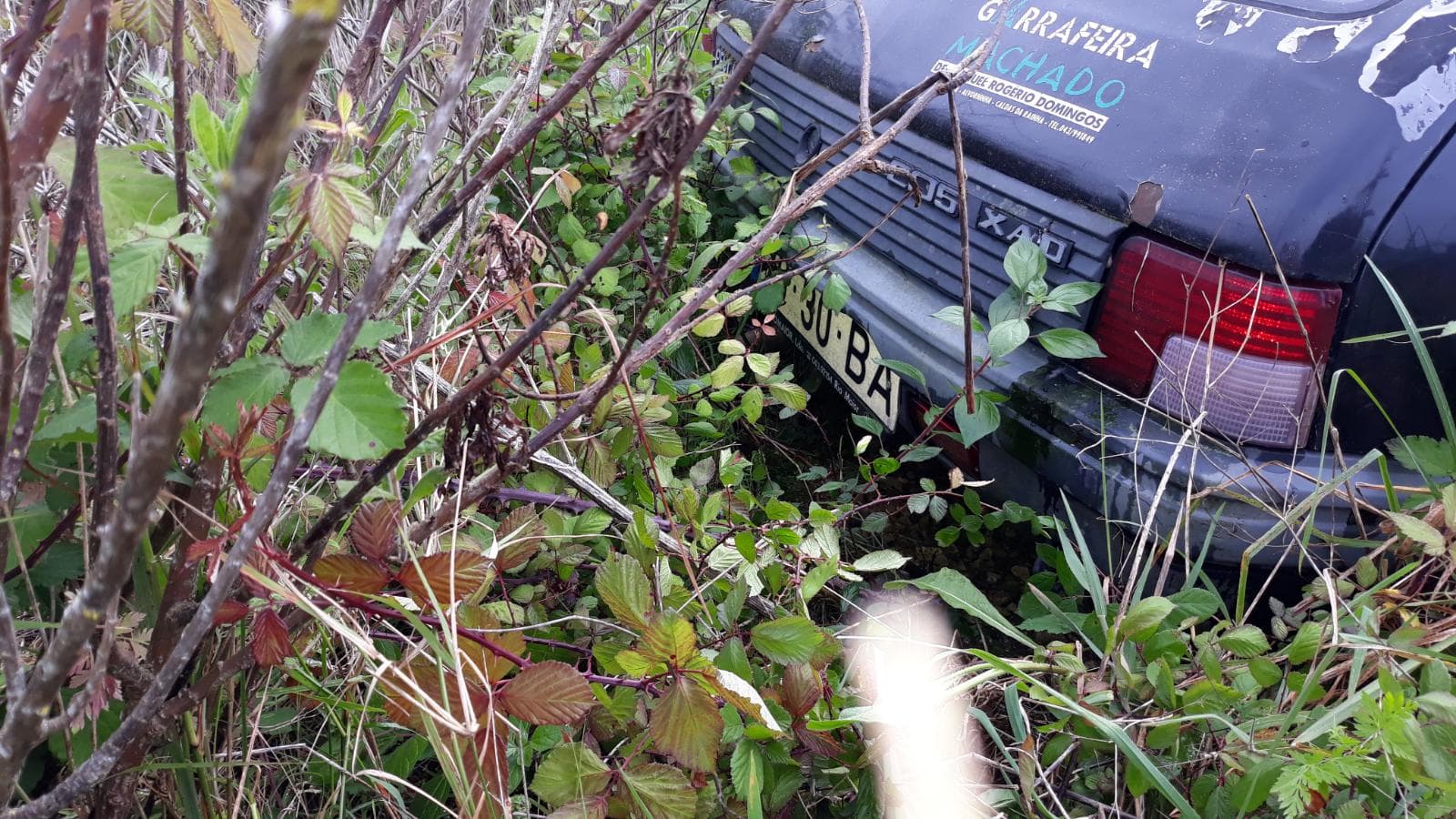 Peugeot 205 — imagem 4