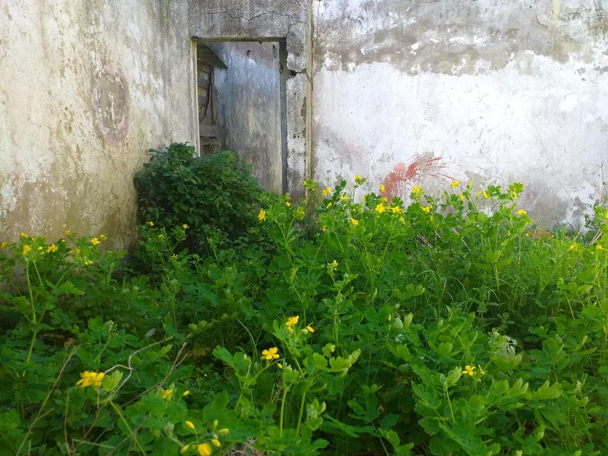 Moradia — imagen 6
