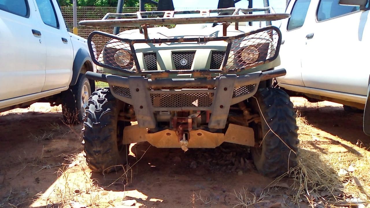 Yamaha Rhino — imagen 1