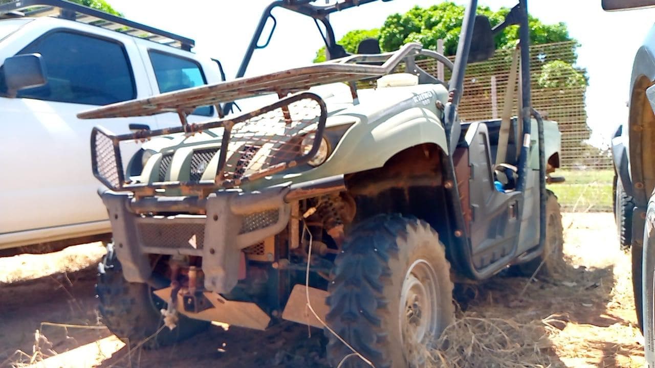 Yamaha Rhino — imagen 2