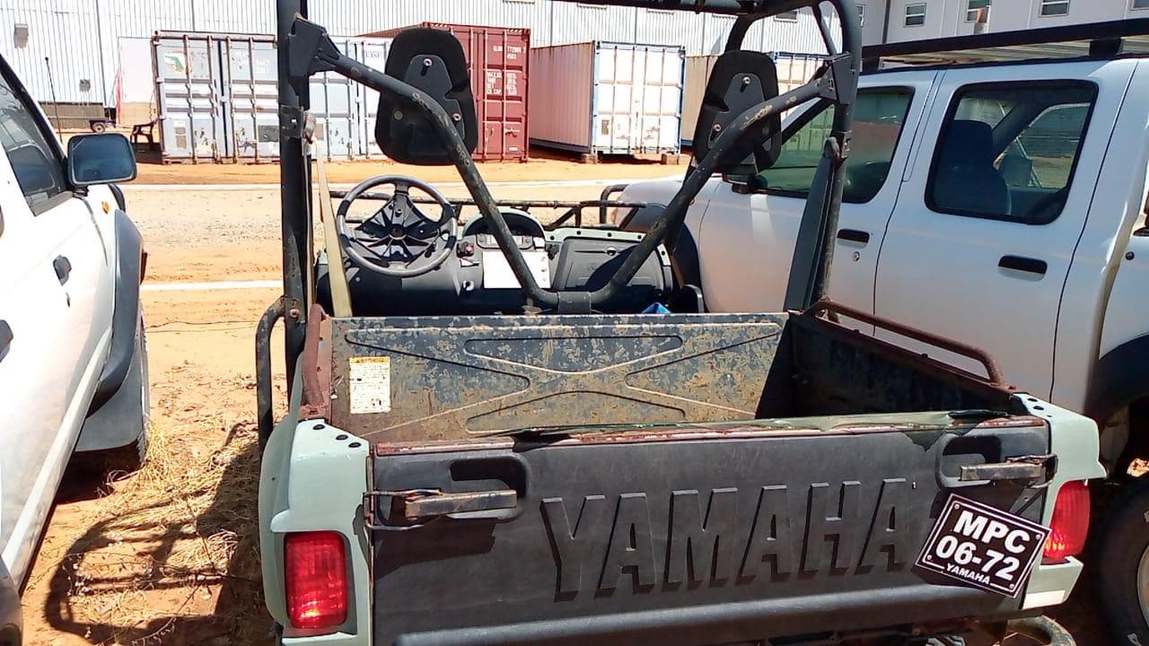 Yamaha Rhino — imagen 5