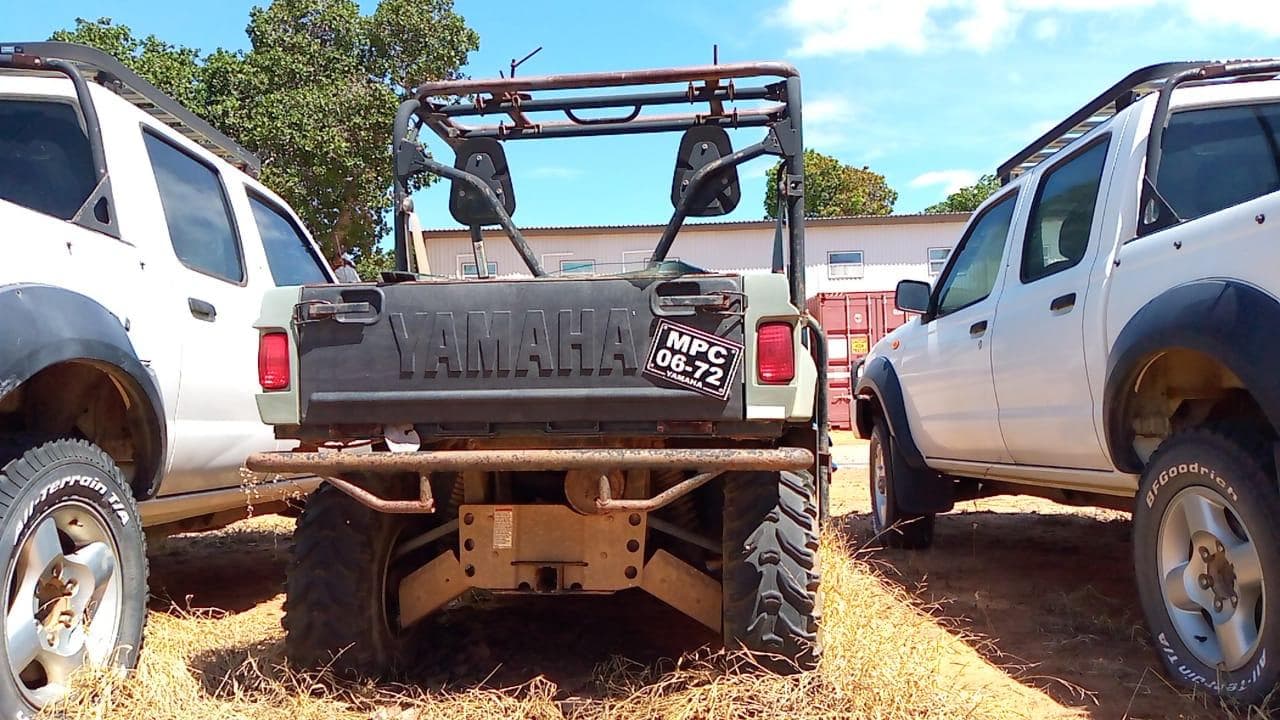 Yamaha Rhino — imagen 4