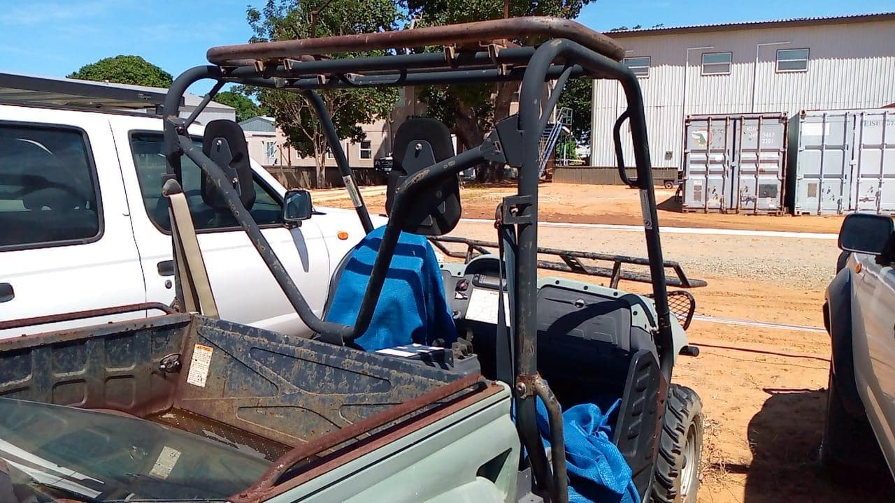 Yamaha Rhino — imagen 8