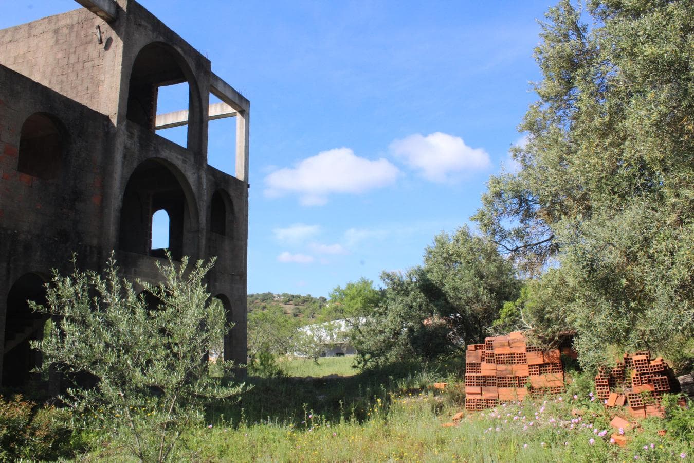 Lote para Construção c/ Benfeitorias · São Brás de Alportel, Faro — imagem 6