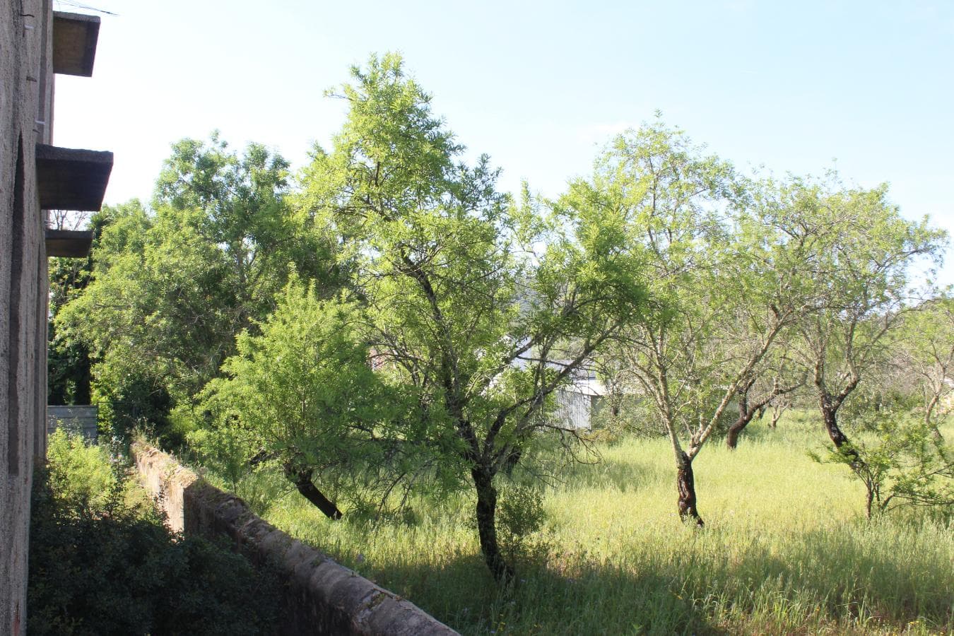 Lote para Construção c/ Benfeitorias · São Brás de Alportel, Faro — imagem 9