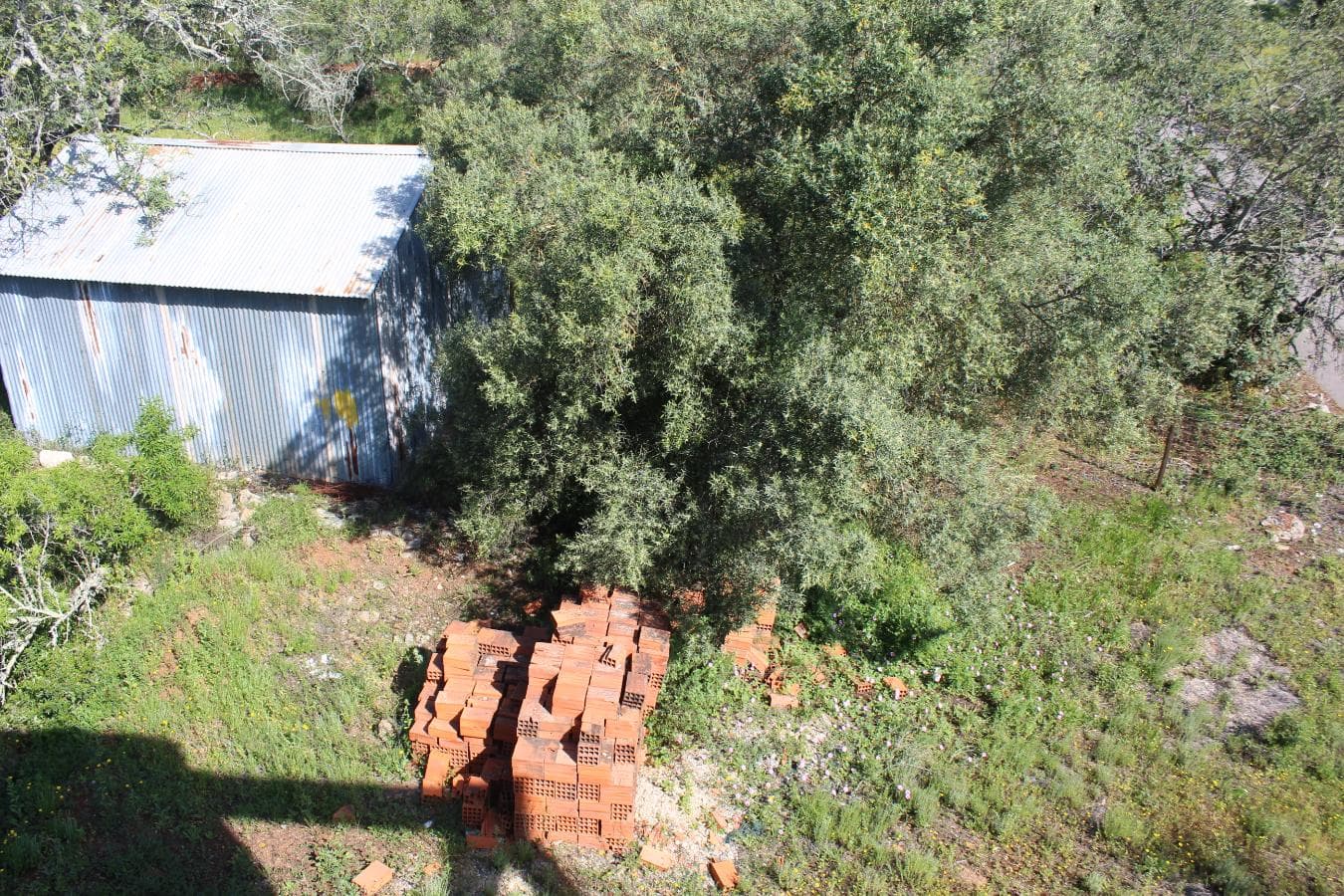 Lote para Construção c/ Benfeitorias · São Brás de Alportel, Faro — imagem 7