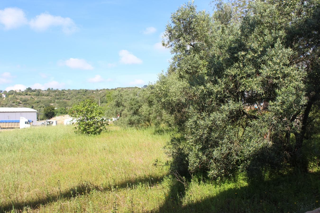 Lote para Construção c/ Benfeitorias · São Brás de Alportel, Faro — imagem 10