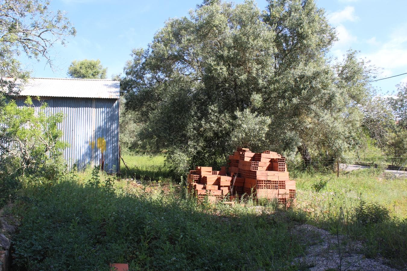 Lote para Construção c/ Benfeitorias · São Brás de Alportel, Faro — imagem 11