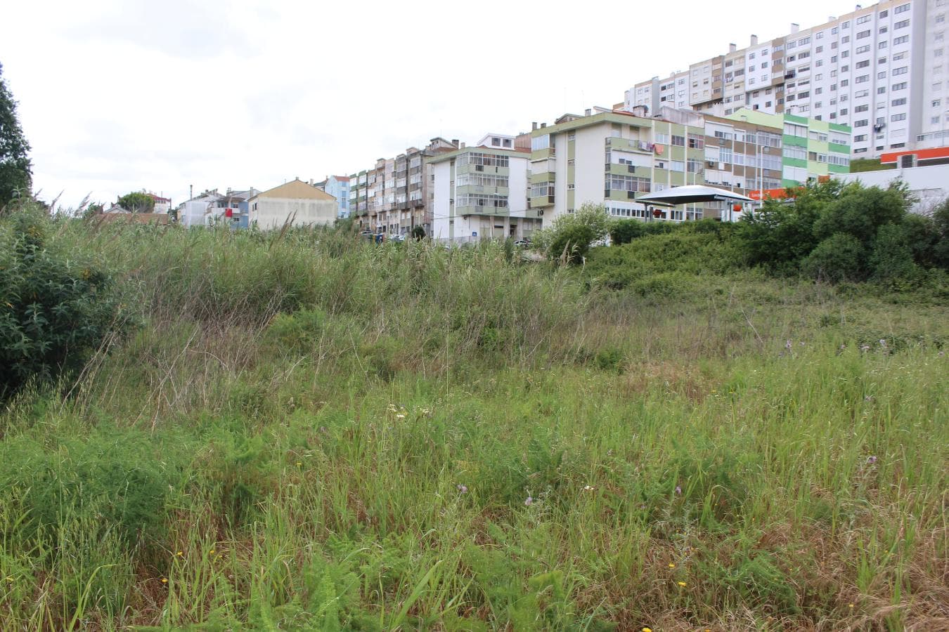 Lotes para Construção · Sintra — imagem 1