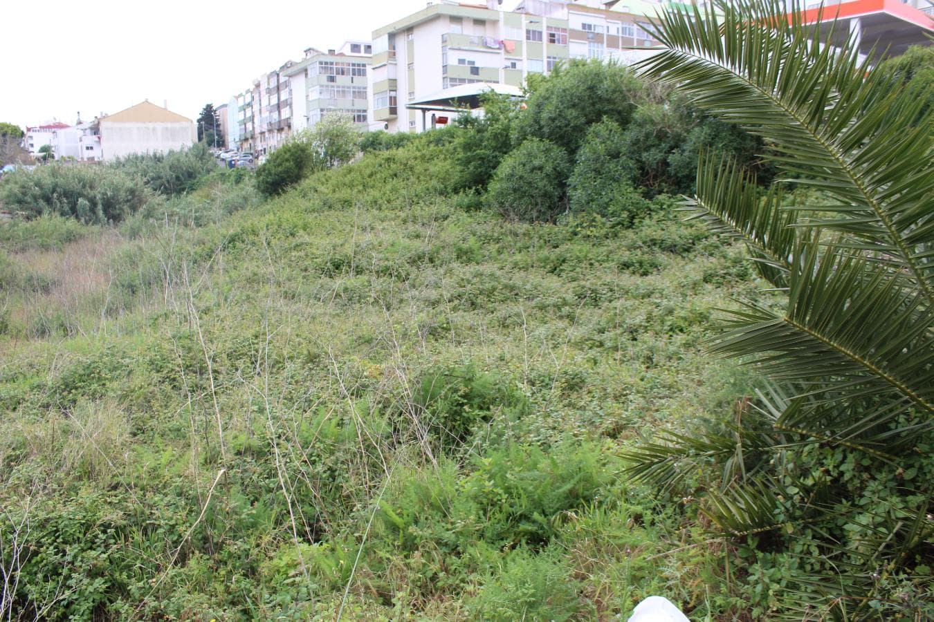 Lotes para Construção · Sintra — imagem 7