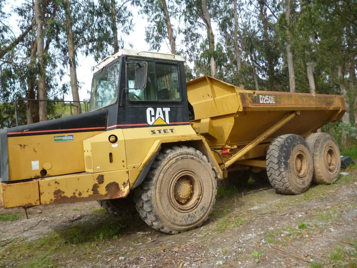 Dumper — imagen 5