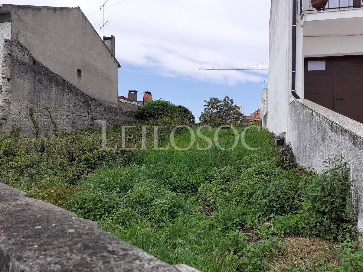 Totalidade dos Lotes — image 10