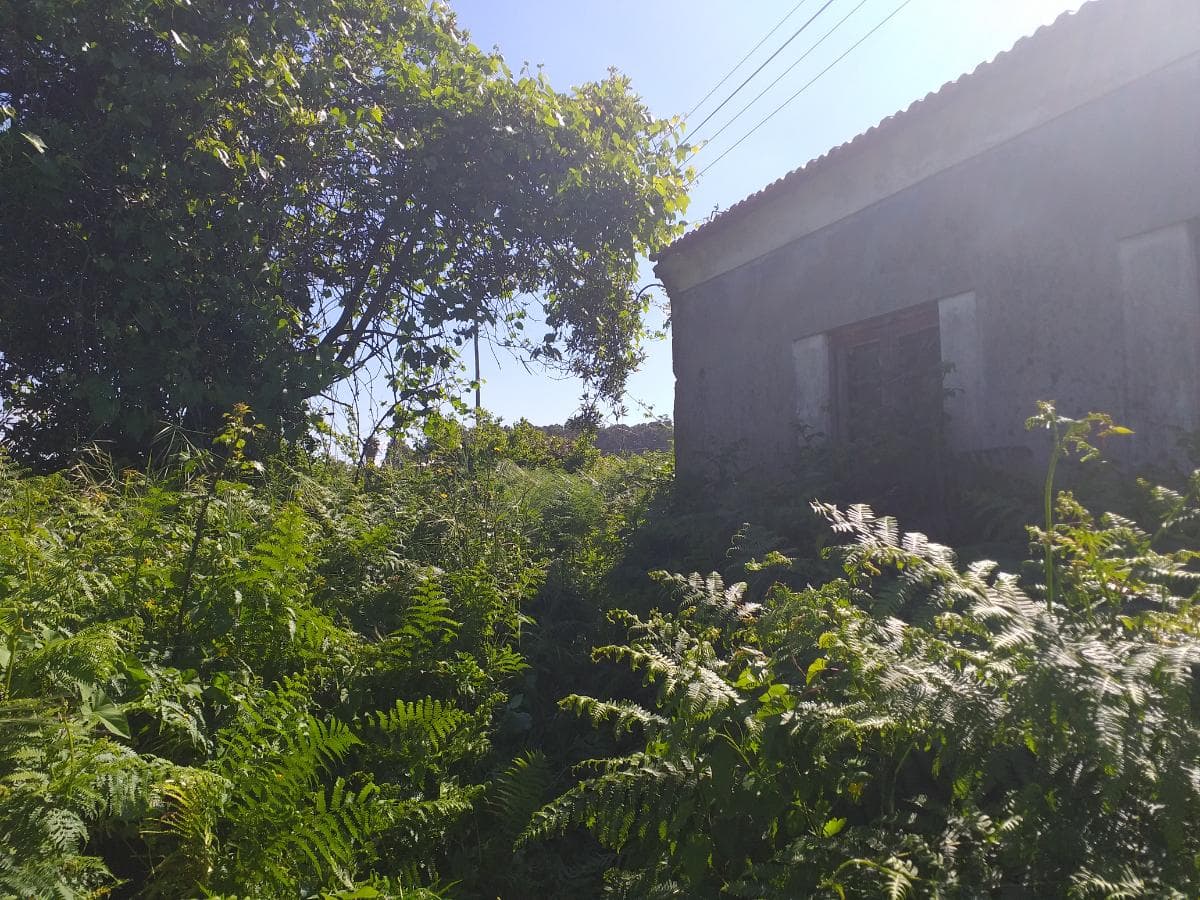 Terreno