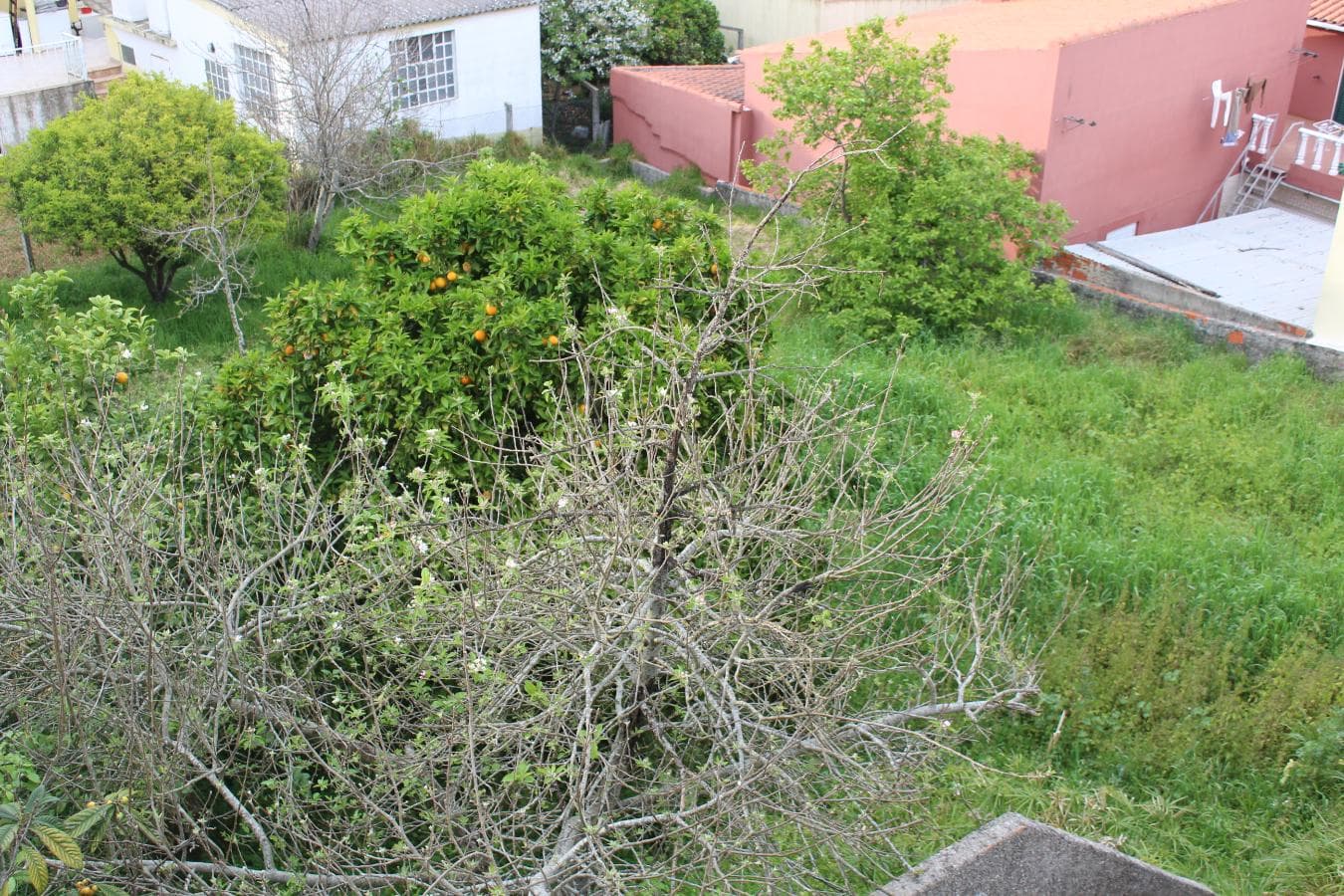 1/2 de Moradia V6 · Palmela — image 19