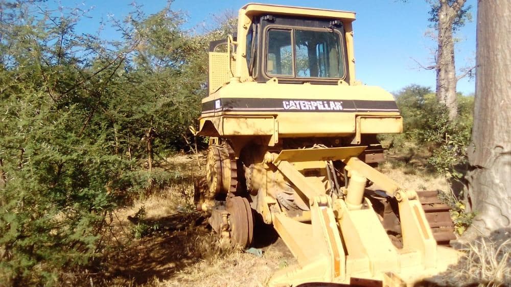 Dozer · — imagen 4