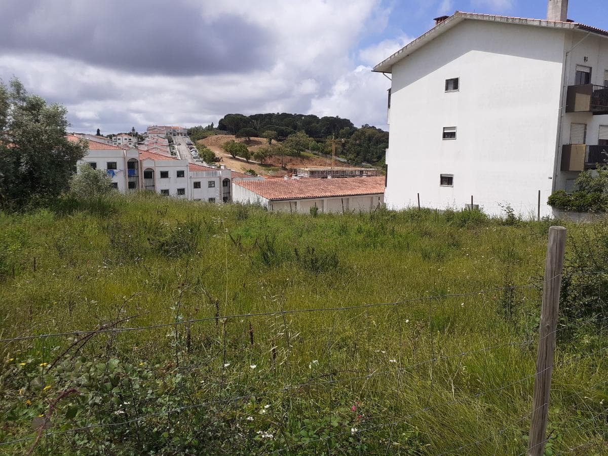 Quinhão Hereditário · Coimbra — imagem 8