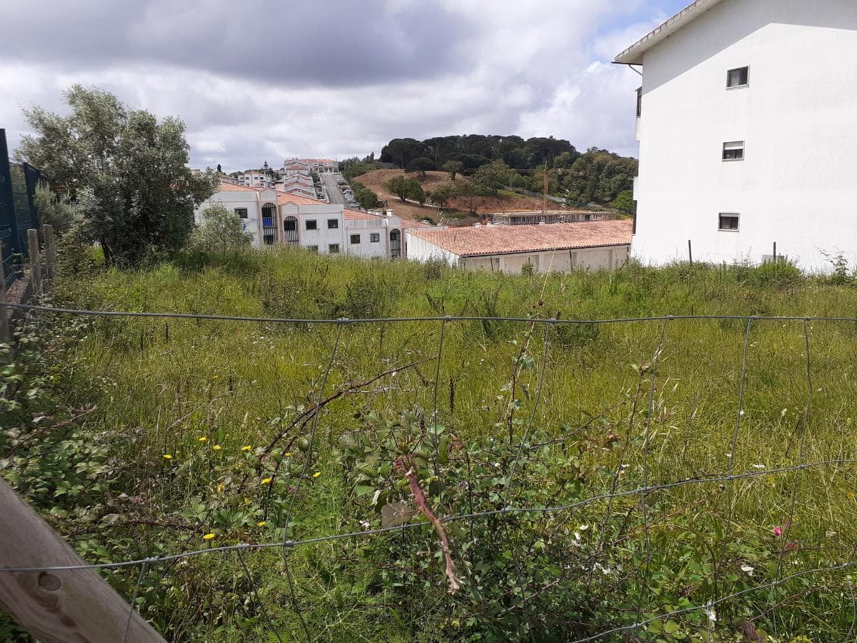 Quinhão Hereditário · Coimbra — imagem 11
