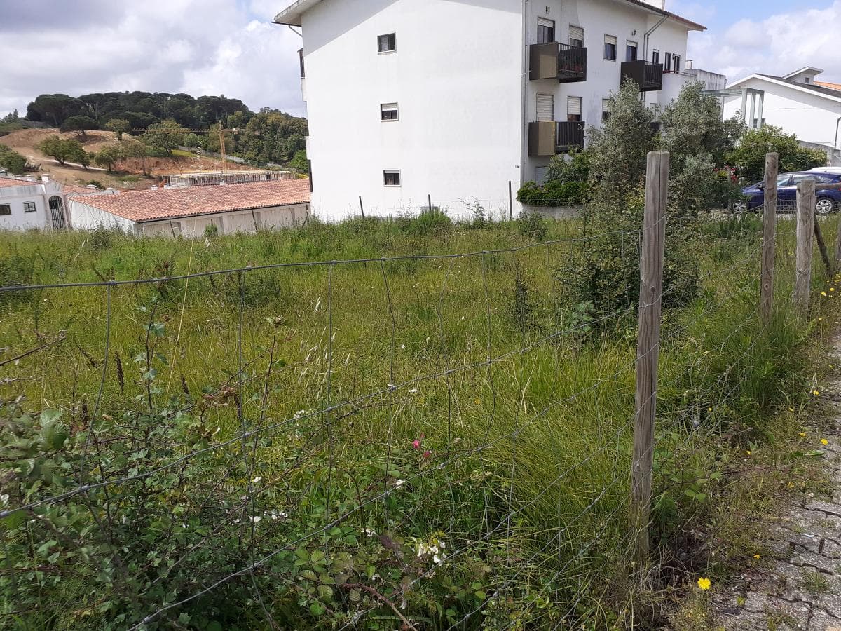 Quinhão Hereditário · Coimbra — imagem 14