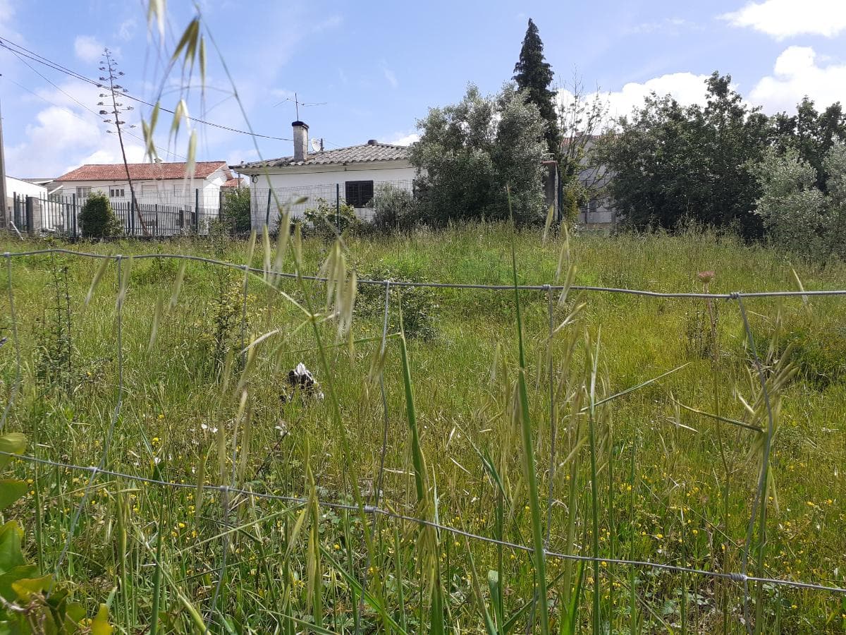 Quinhão Hereditário · Coimbra — imagem 16