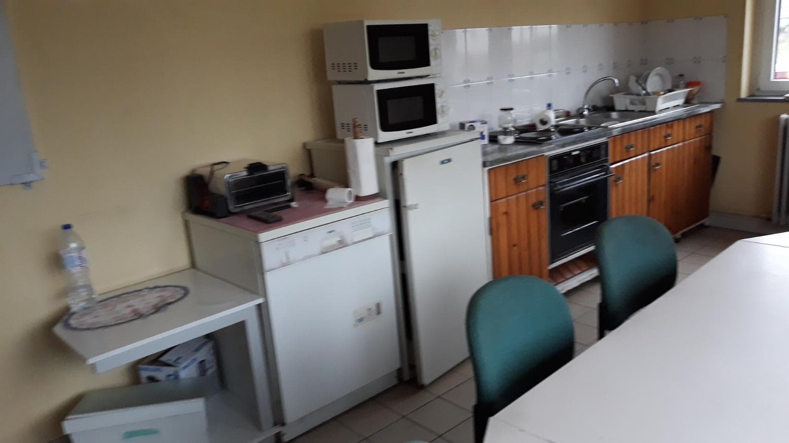 Totalidade dos Lotes · São Pedro do Sul — imagem 28