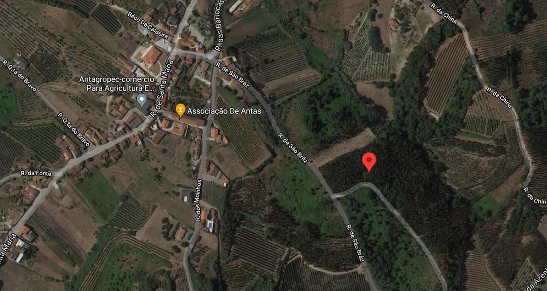 Quinhão Hereditário · Caldas da Rainha — imagem 40