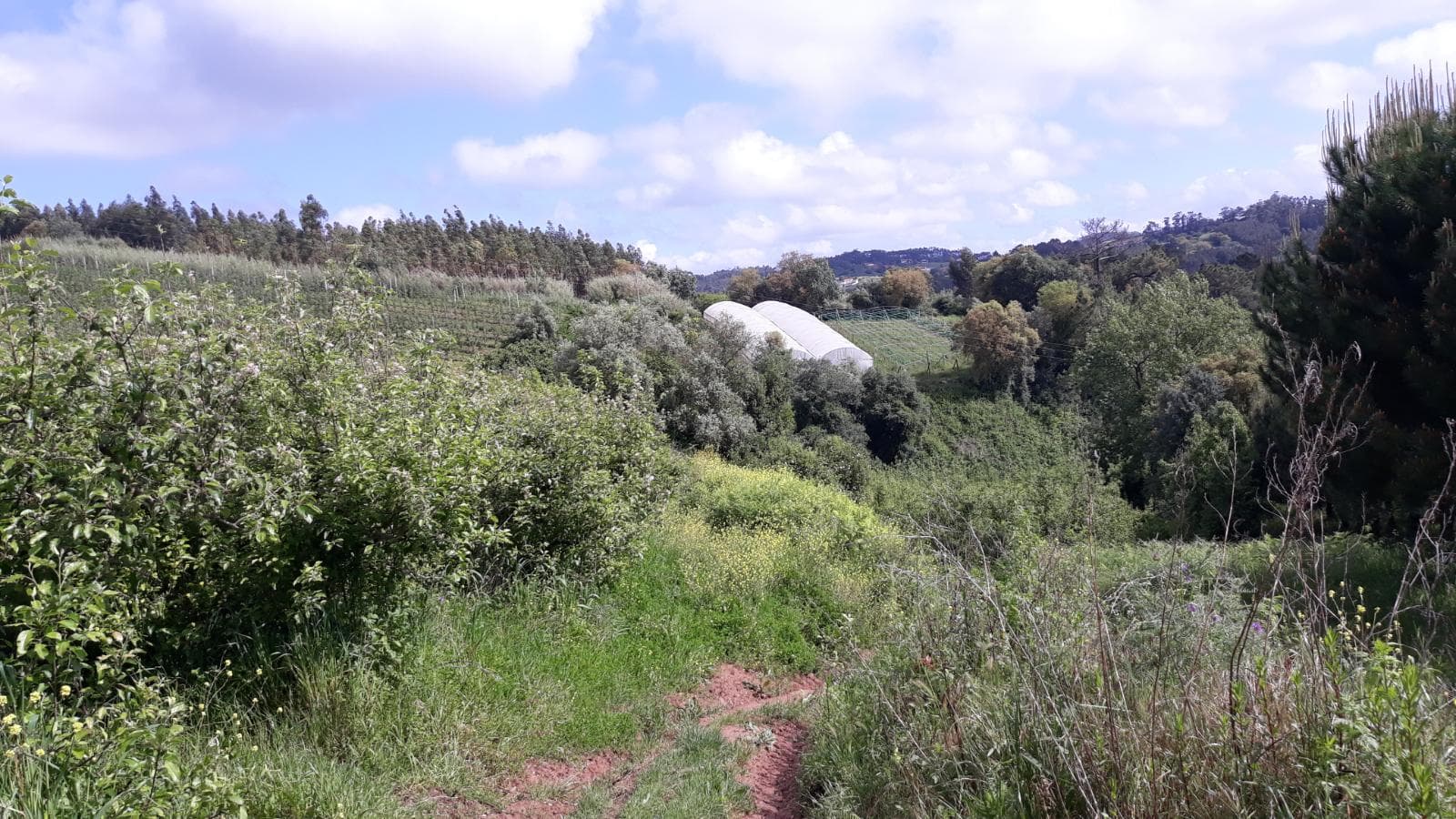 Quinhão Hereditário · Caldas da Rainha — imagem 6