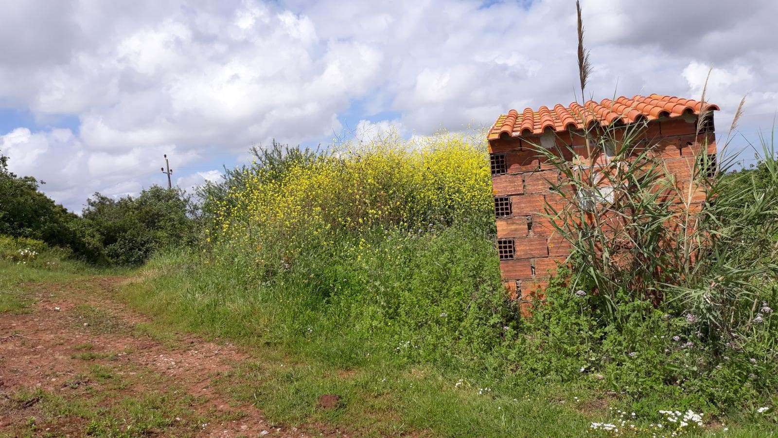 Quinhão Hereditário · Caldas da Rainha — imagem 26