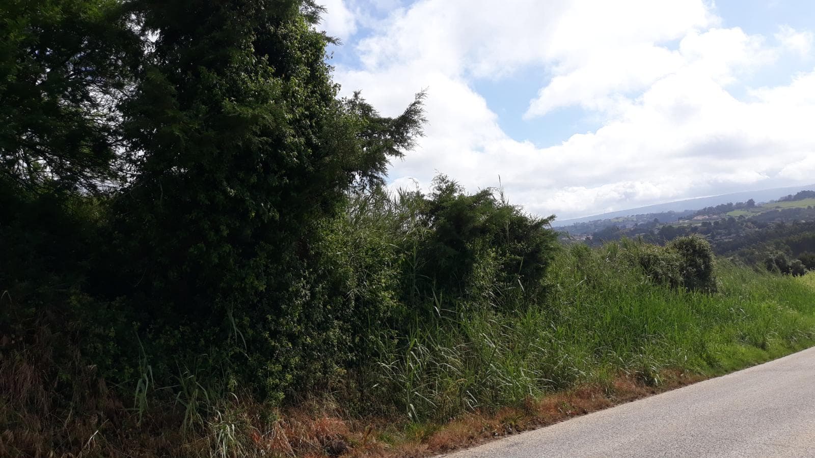 Quinhão Hereditário · Caldas da Rainha — imagem 14