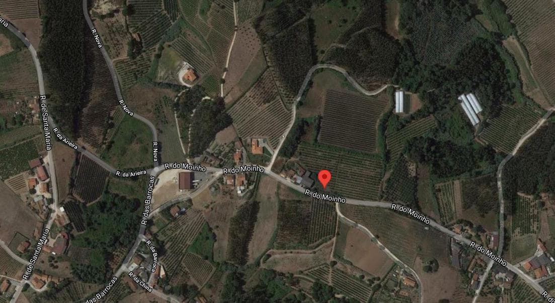 Quinhão Hereditário · Caldas da Rainha — imagem 39