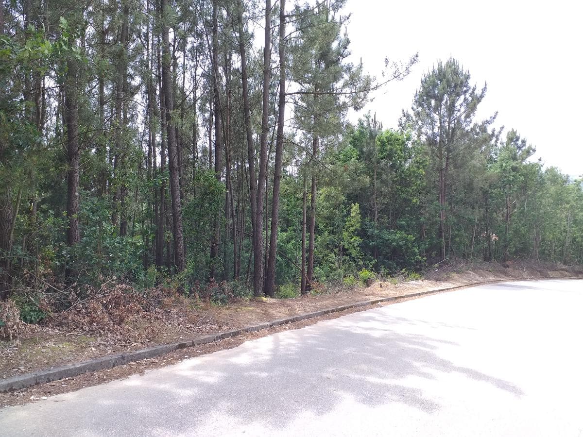 Proporção de 38/288 avos de Terreno · Gondomar — imagem 4