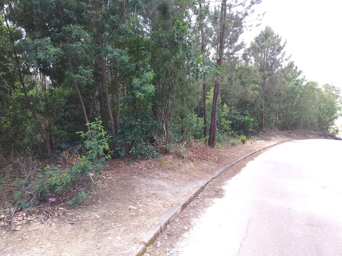 Proporção de 38/288 avos de Terreno · Gondomar — imagem 6