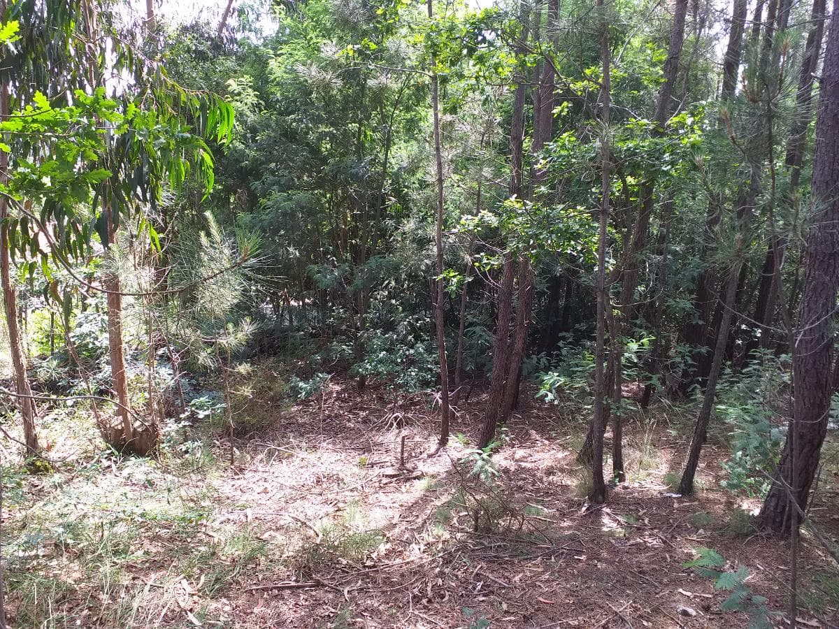 Proporção de 38/288 avos de Terreno · Gondomar — imagem 7