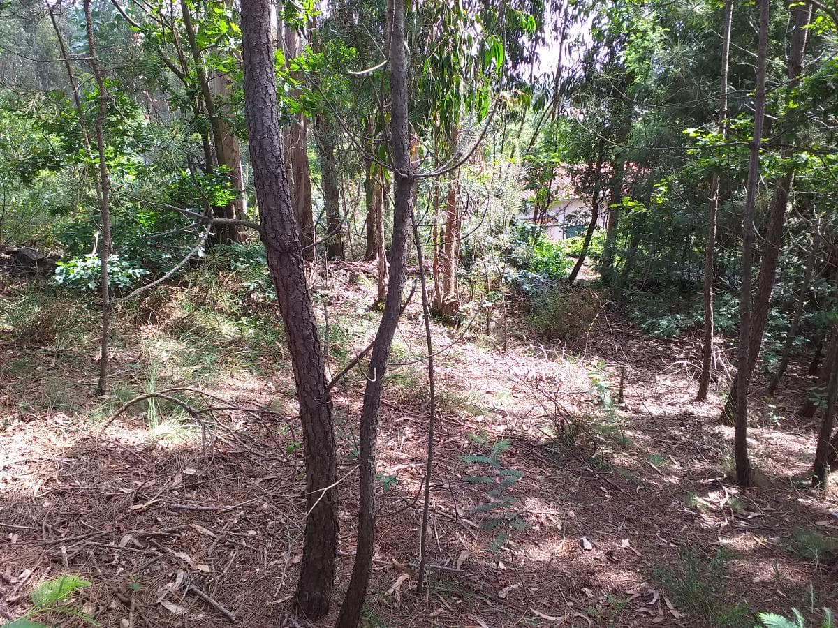 Proporção de 38/288 avos de Terreno · Gondomar — imagem 8