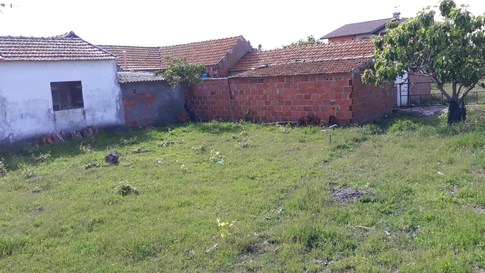 Terreno · Figueira da Foz — imagem 4