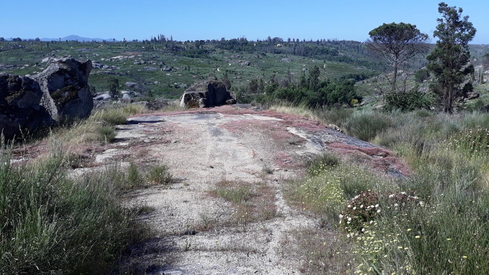 Quinhão Hereditário · Sesimbra · Almada · Seia — imagen 15