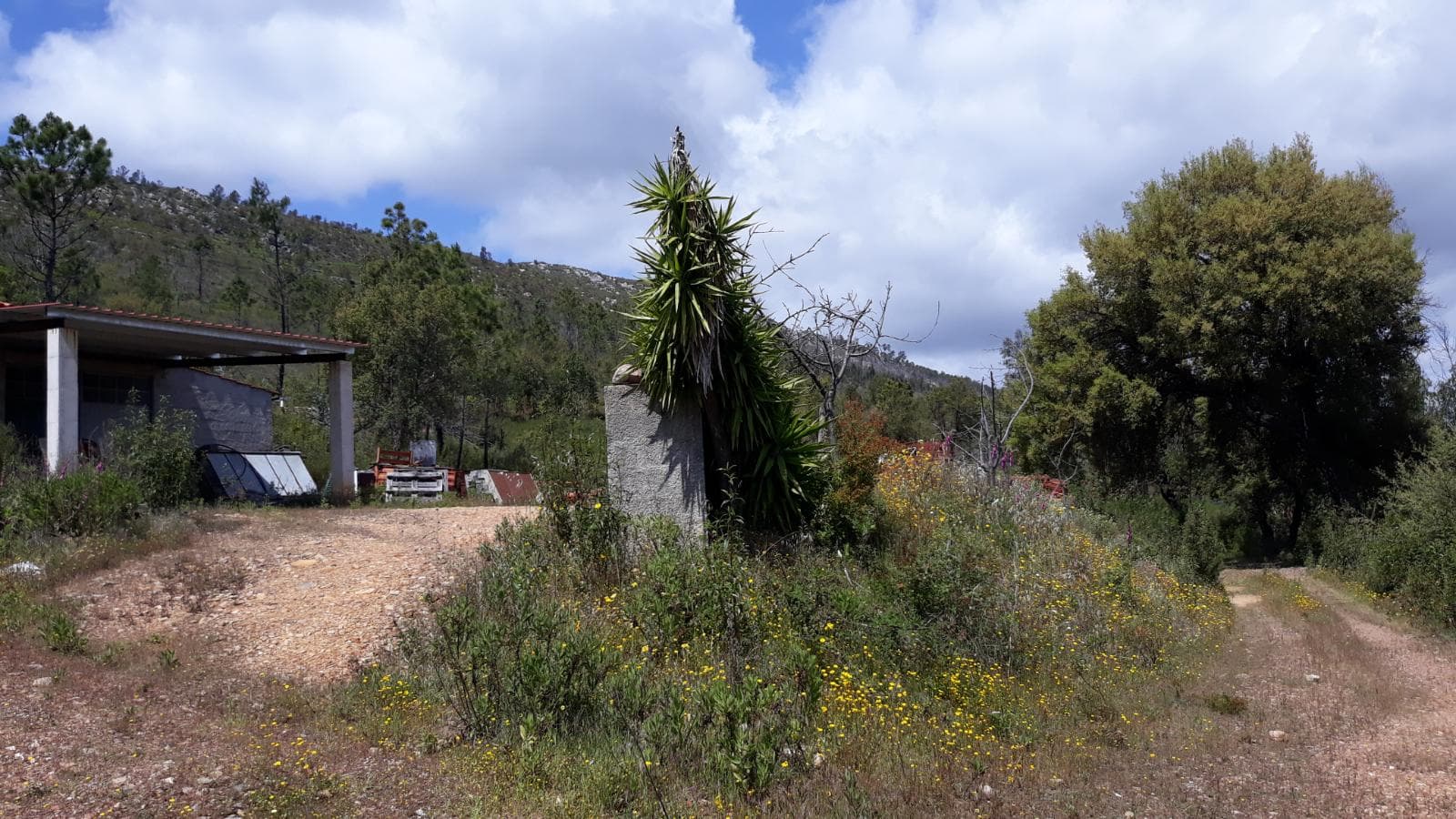 Terreno · Vila Velha de Ródão - Castelo Branco