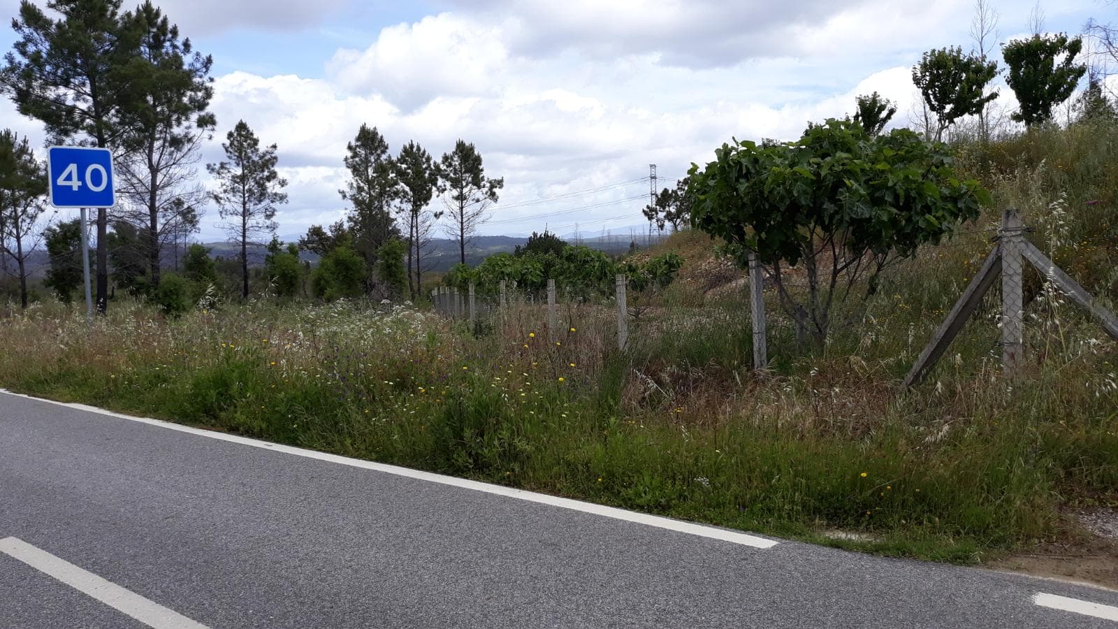 Terreno · Vila Velha de Ródão - Castelo Branco — imagem 1