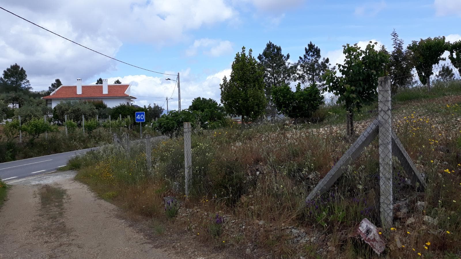 Terreno · Vila Velha de Ródão - Castelo Branco — imagem 2